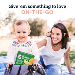 Gerber Organic Pure Rice Teething Biscuits Banana Carrot Mango Flavor 7m+ 48g