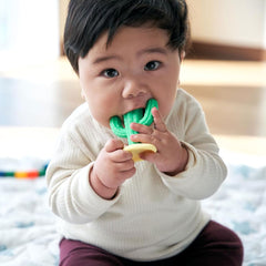 EDEDISONmama 仙人掌牙膠適合3個月以上