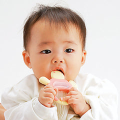 Richell 小龜牙膠連盒咬咬烏龜 適用約3個月