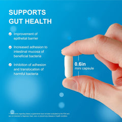 Life Space Shape B420™ 瘦身纖體益生菌膠囊 60顆