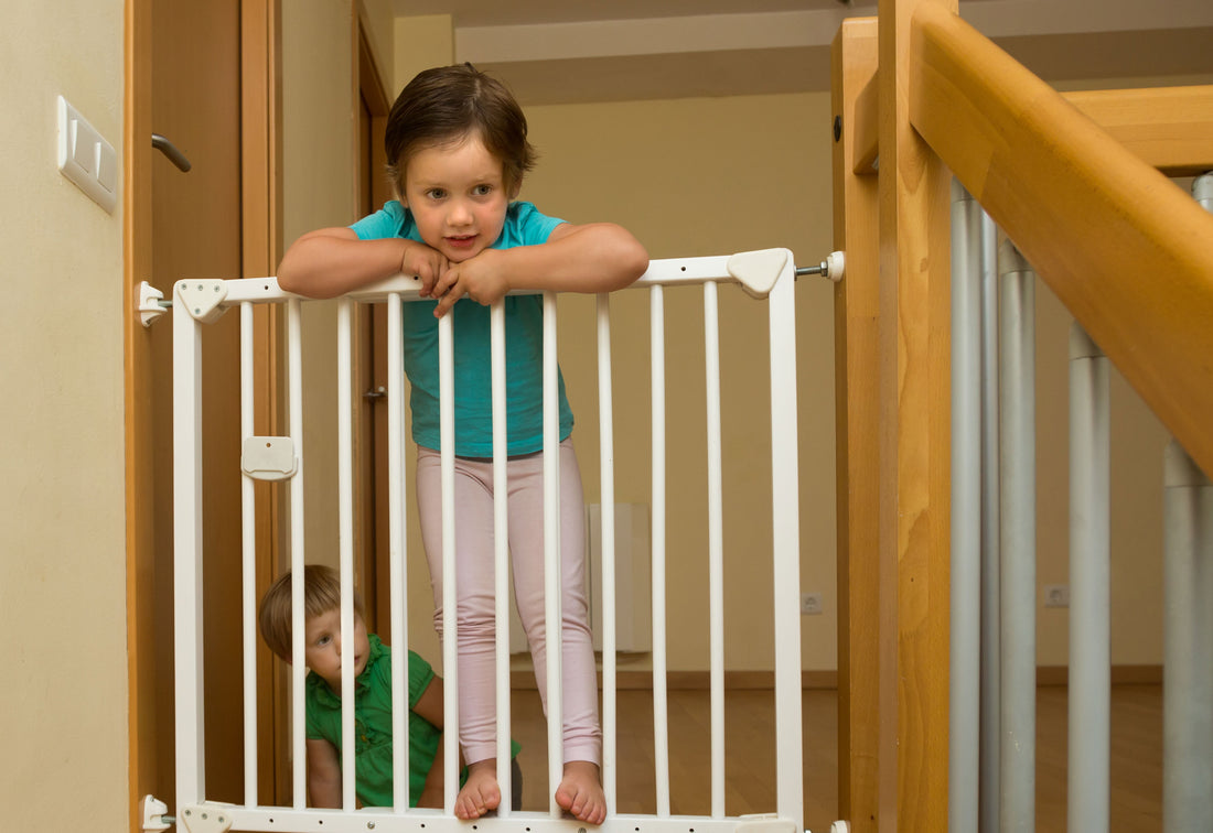 Safety Gate & Guards