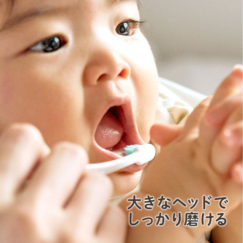 EDISONmama 嬰兒牙刷溫和有效刷牙 2支裝 6個月以上
